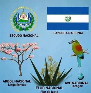 Meet your Posher, Roberto